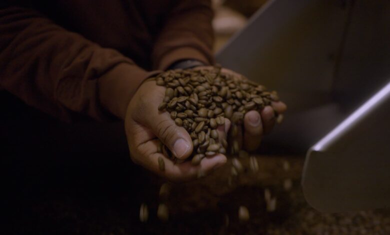 Why Nescafé instant coffee sales are surging